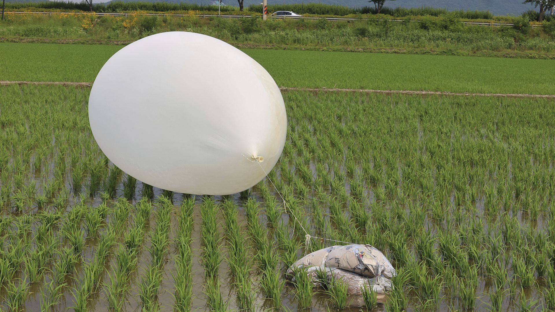 North Korean balloon dumps rubbish on South Korean presidential compound a second time